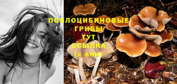а пвп мука Киренск