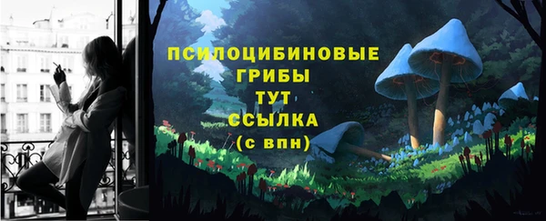 прущий лед Киреевск